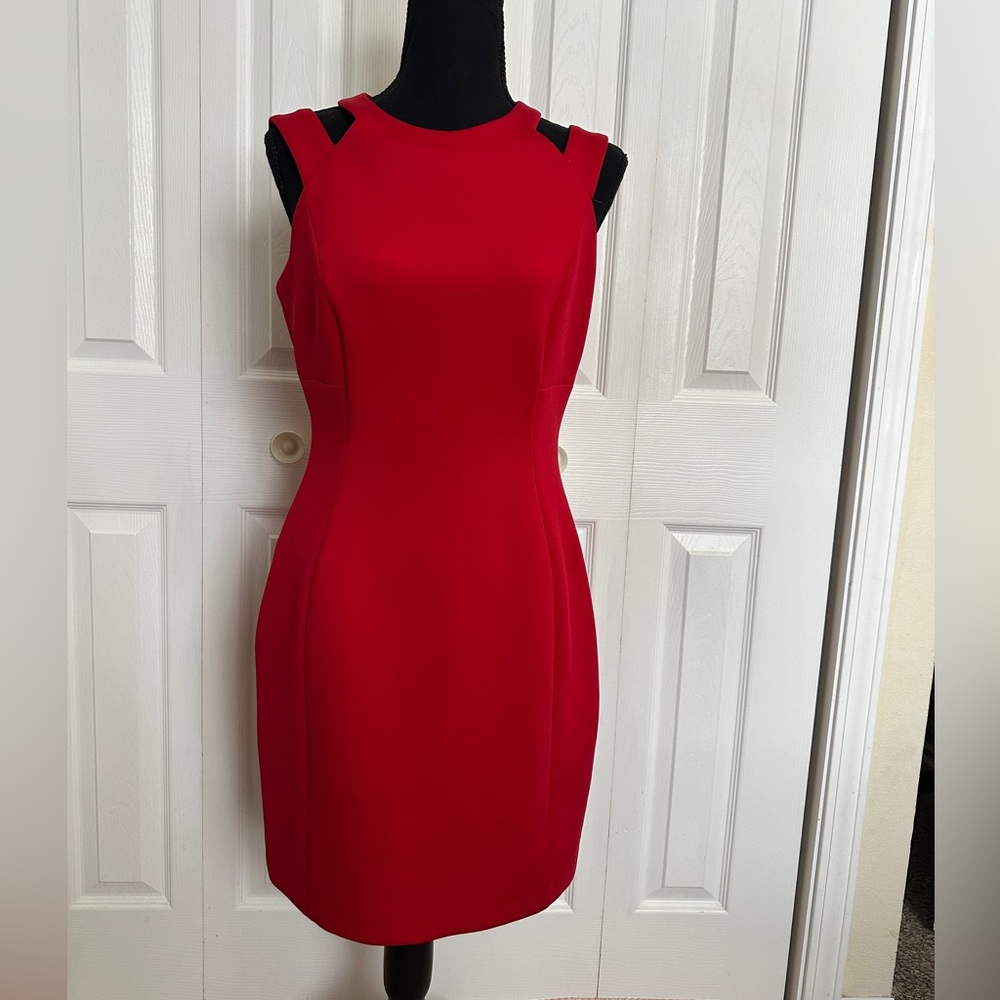 Calvin Klein Red Mini Dress